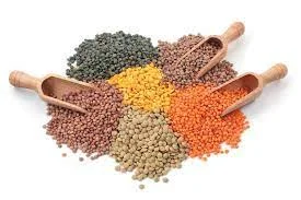 2. Lentils: Tiny Powerhouses of Nutrition