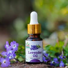1. Lavender Oil