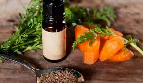 8. Carrot Seed Oil