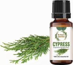 9. Cypress Oil