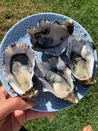 10. Oysters: The Zinc Marvel