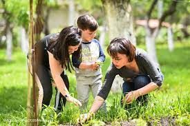 Sustainable Parenting Eco-Friendly Practices for Families