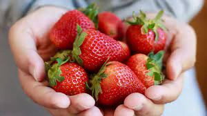  Strawberries Sweetness with Benefits